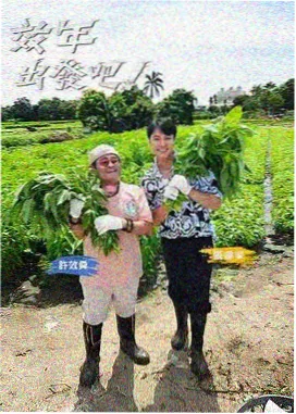 神马影院在线看 极限挑战